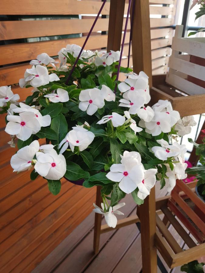 Bed and breakfast La Terrazza Di Carolina