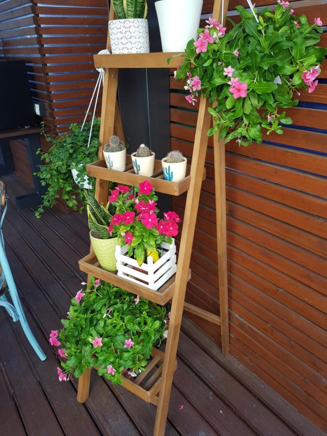 La Terrazza Di Carolina Bed and breakfast